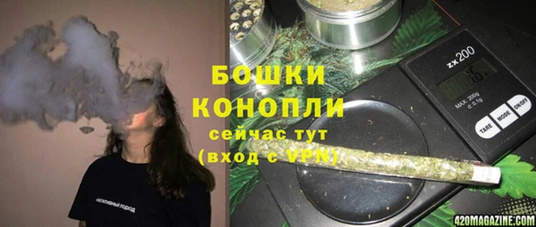 прущий лед Верея