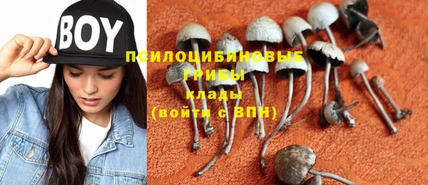 мяу мяу мука Верхний Тагил