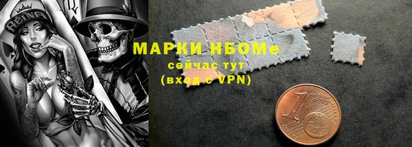 прущий лед Верея