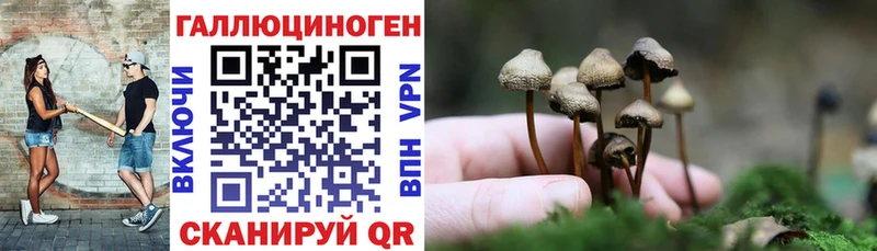 Псилоцибиновые грибы MAGIC MUSHROOMS  где можно купить наркотик  Куровское 